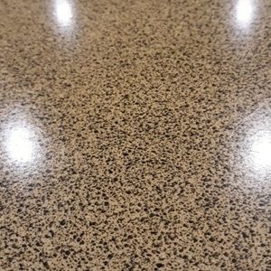 Meet your Posher, Lenell